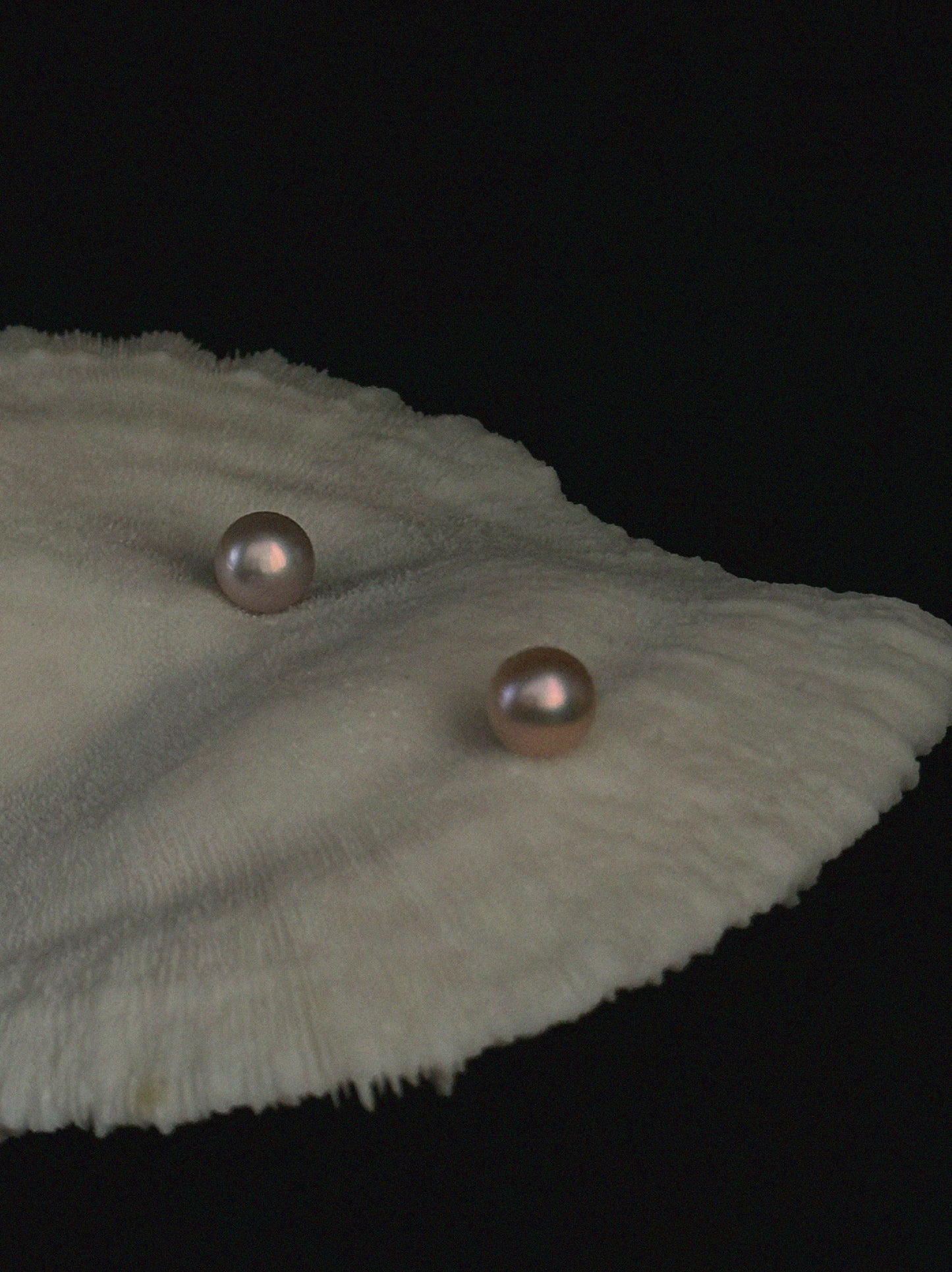 Large Pearl Ear Studs