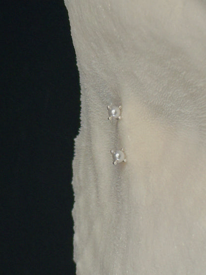 Tiny Tide Ear Studs
